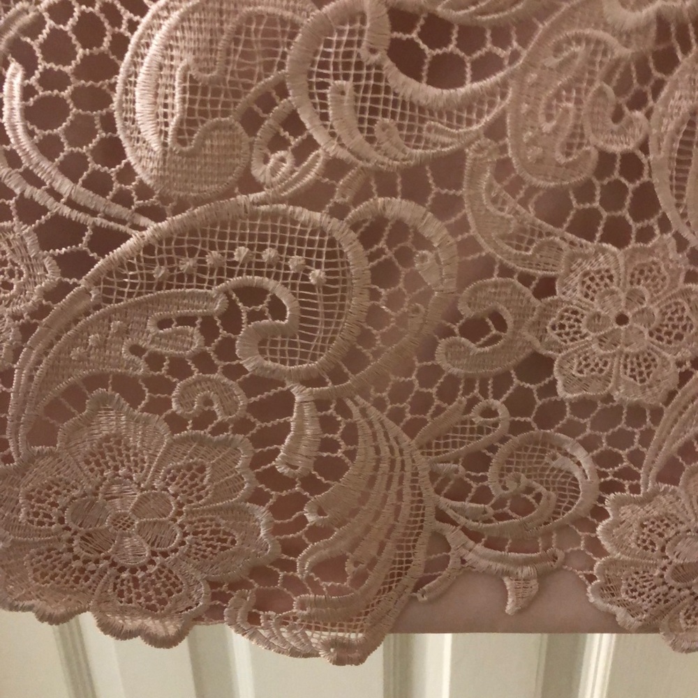 Adrianna Papell lace A-line dress.  Lined.
